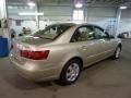 Camel Pearl - Sonata GLS Photo No. 2