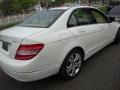 Arctic White - C 300 4Matic Luxury Photo No. 6