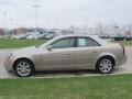 Cashmere - CTS Sedan Photo No. 8