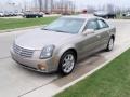 Cashmere - CTS Sedan Photo No. 9