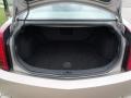 Cashmere - CTS Sedan Photo No. 16