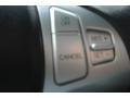 Nordschleife Gray - Genesis Coupe 3.8 Track Photo No. 22