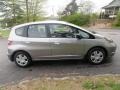 Storm Silver Metallic 2010 Honda Fit Standard Fit Model Exterior