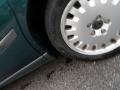 2001 Emerald Green Volvo V70 2.4  photo #10