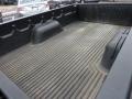 Sandalwood Metallic - S10 LS Regular Cab Photo No. 18