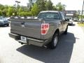 2010 Sterling Grey Metallic Ford F150 XL Regular Cab  photo #10