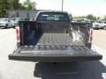 2010 Sterling Grey Metallic Ford F150 XL Regular Cab  photo #12