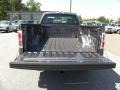 Sterling Grey Metallic - F150 XL Regular Cab Photo No. 12