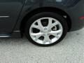 2009 Metropolitan Gray Mica Mazda MAZDA3 s Touring Hatchback  photo #11