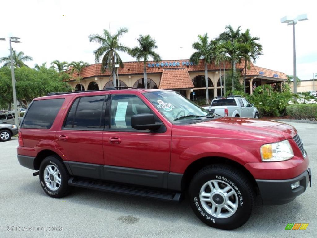 2003 Expedition XLT - Laser Red Tinted Metallic / Flint Grey photo #1