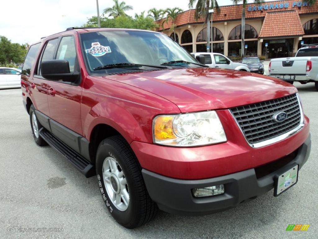 2003 Expedition XLT - Laser Red Tinted Metallic / Flint Grey photo #2