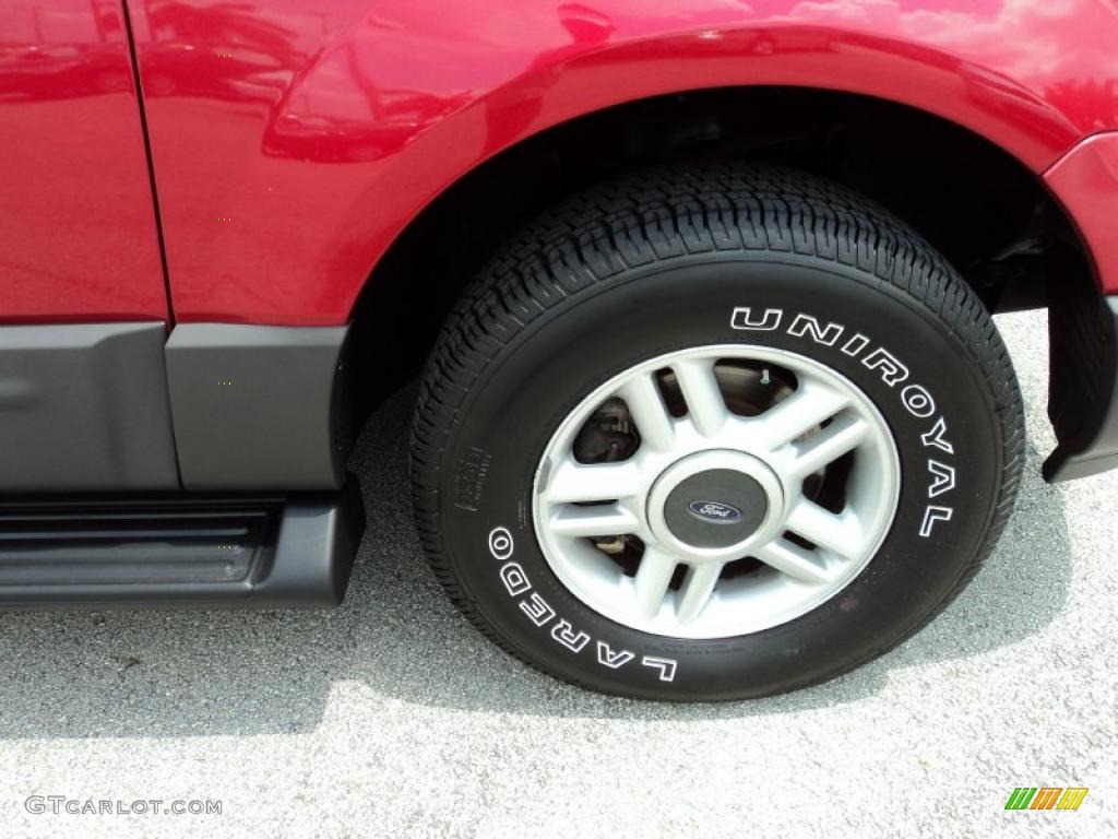 2003 Expedition XLT - Laser Red Tinted Metallic / Flint Grey photo #3