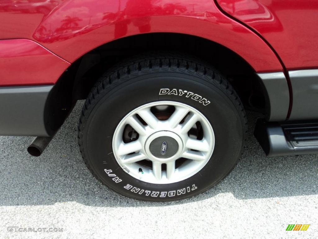 2003 Expedition XLT - Laser Red Tinted Metallic / Flint Grey photo #4