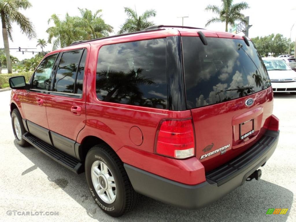 2003 Expedition XLT - Laser Red Tinted Metallic / Flint Grey photo #9