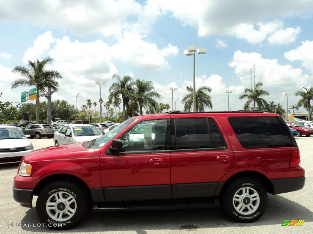 2003 Expedition XLT - Laser Red Tinted Metallic / Flint Grey photo #10
