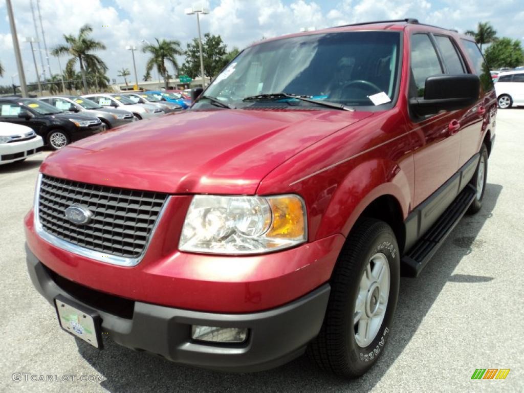 2003 Expedition XLT - Laser Red Tinted Metallic / Flint Grey photo #13