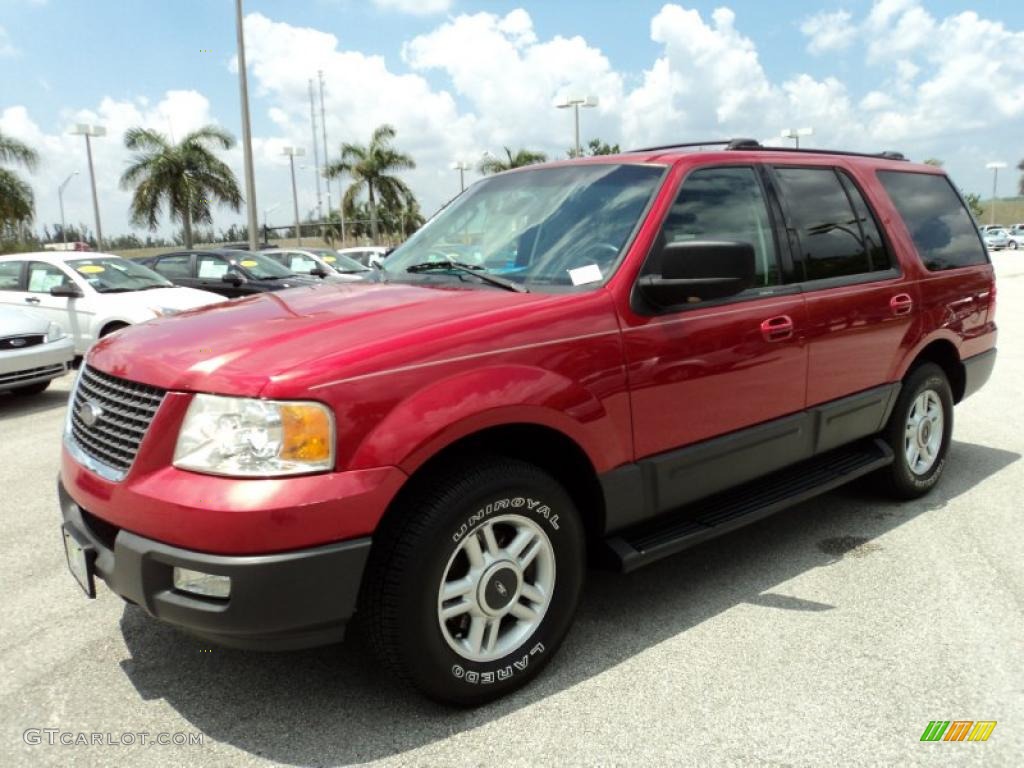 2003 Expedition XLT - Laser Red Tinted Metallic / Flint Grey photo #14