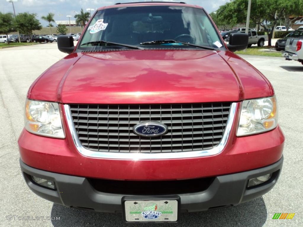 2003 Expedition XLT - Laser Red Tinted Metallic / Flint Grey photo #15