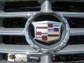2002 Cadillac Seville SLS Badge and Logo Photo