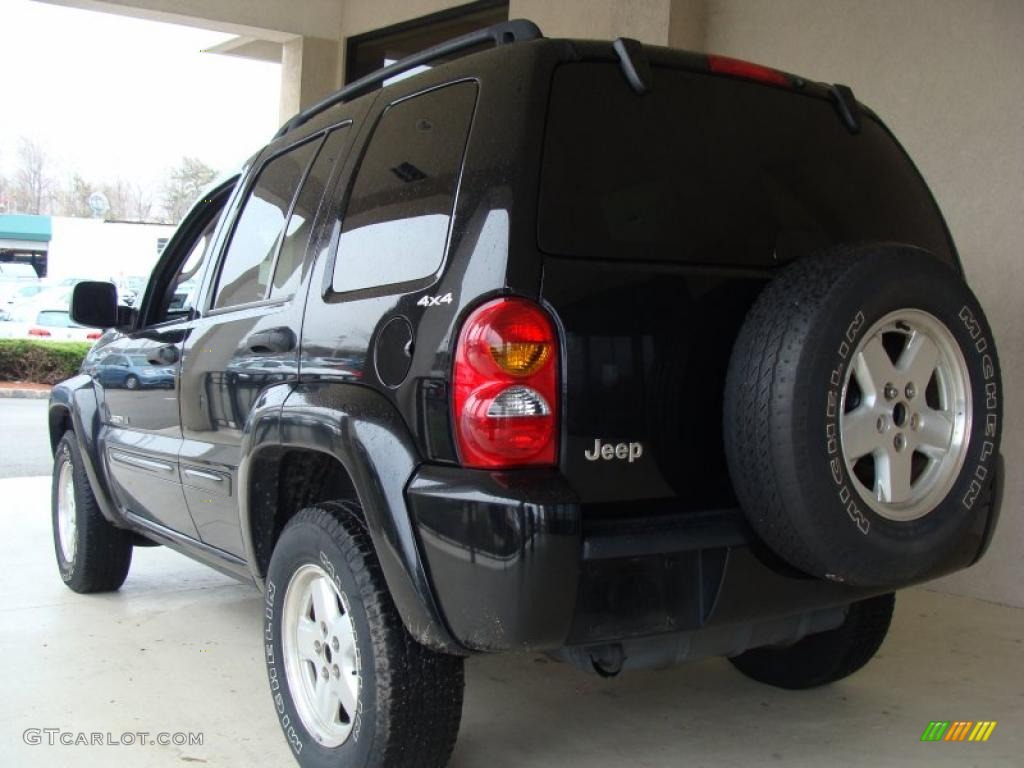 2002 Liberty Limited 4x4 - Black / Dark Slate Gray photo #5