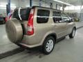 2005 Sahara Sand Metallic Honda CR-V Special Edition 4WD  photo #5