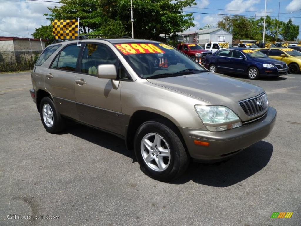 2002 RX 300 - Burnished Gold Metallic / Ivory photo #1