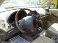 Burnished Gold Metallic - RX 300 Photo No. 7