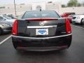 Black Raven - CTS Sedan Photo No. 6