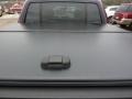 Dark Cherry Metallic - Explorer Sport Trac Limited 4x4 Photo No. 15
