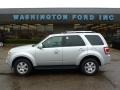 Ingot Silver Metallic 2010 Ford Escape Limited 4WD