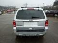 Ingot Silver Metallic - Escape Limited 4WD Photo No. 3