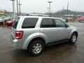 Ingot Silver Metallic - Escape Limited 4WD Photo No. 4