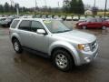 Ingot Silver Metallic - Escape Limited 4WD Photo No. 6