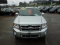 Ingot Silver Metallic - Escape Limited 4WD Photo No. 7
