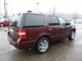 Royal Red Metallic 2010 Ford Expedition Limited 4x4 Exterior