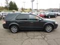Graphite Metallic - Taurus X Limited AWD Photo No. 5