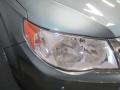 2009 Sage Green Metallic Subaru Forester 2.5 X Premium  photo #5