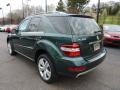 Jade Green Metallic 2009 Mercedes-Benz ML 350 4Matic Exterior