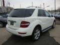 Arctic White - ML 350 4Matic Photo No. 4