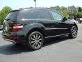 Black 2009 Mercedes-Benz ML 350 4Matic Exterior