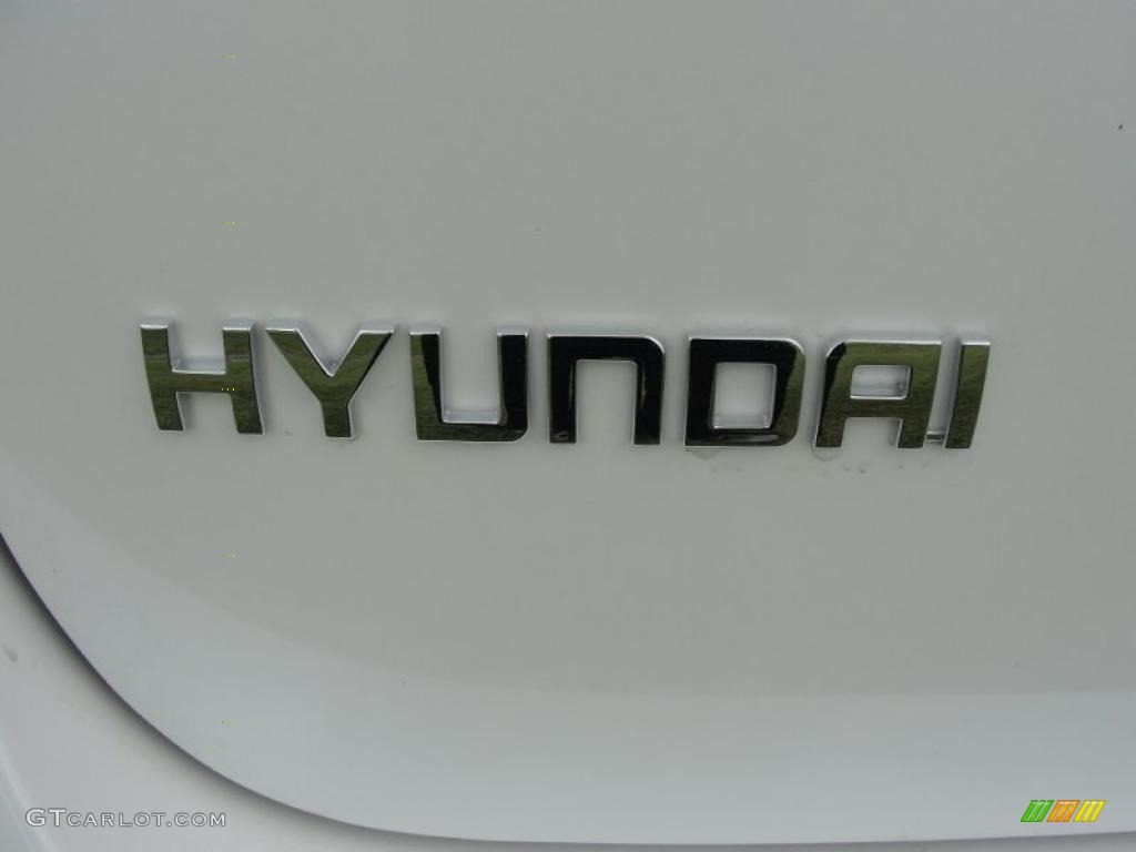 2011 Hyundai Santa Fe SE Marks and Logos Photo #48276871