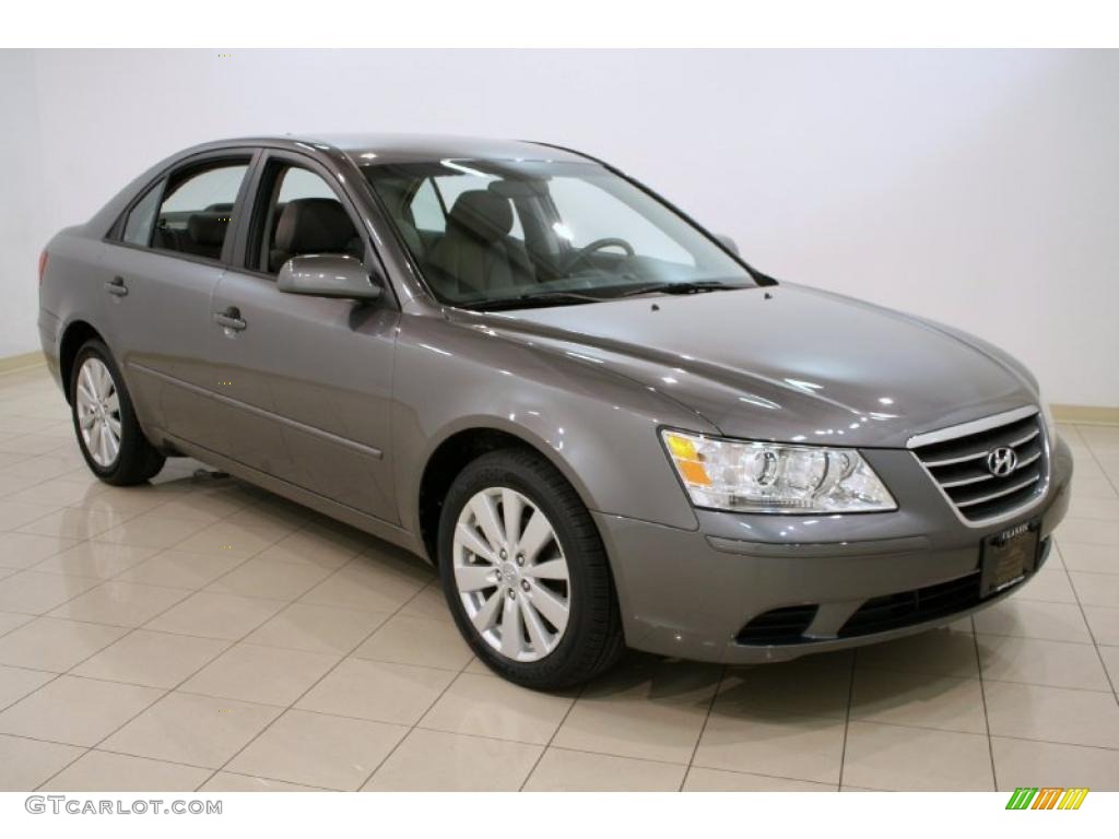 2010 Sonata GLS - Willow Gray / Gray photo #1