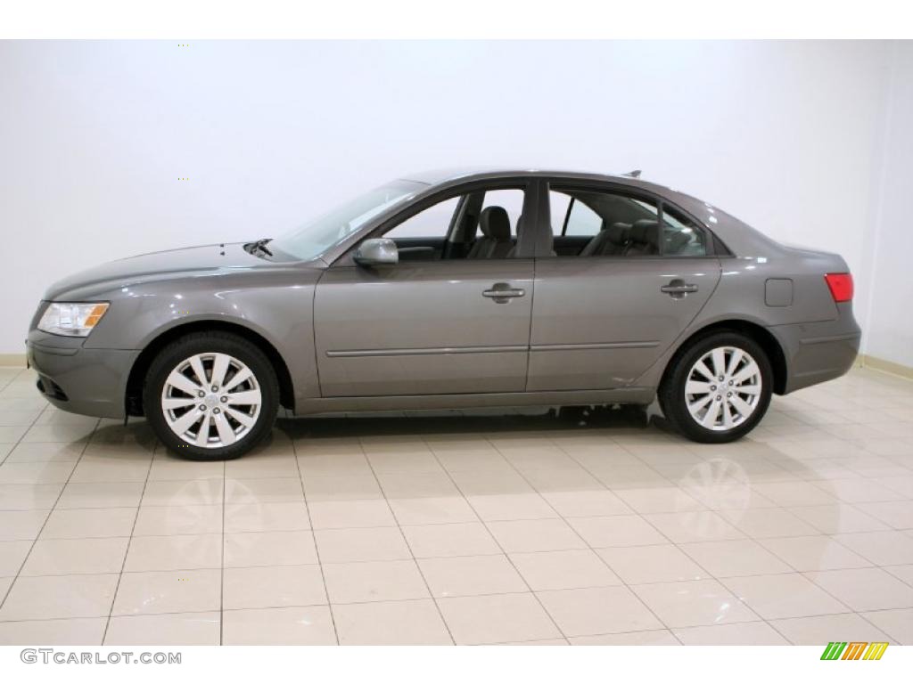 2010 Sonata GLS - Willow Gray / Gray photo #4