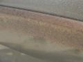 Arizona Beige Metallic - F250 Super Duty Lariat FX4 Crew Cab 4x4 Photo No. 18