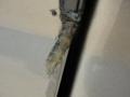 Arizona Beige Metallic - F250 Super Duty Lariat FX4 Crew Cab 4x4 Photo No. 27