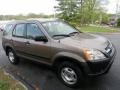 2002 Mojave Mist Metallic Honda CR-V LX 4WD  photo #2