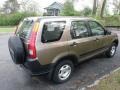 2002 Mojave Mist Metallic Honda CR-V LX 4WD  photo #4