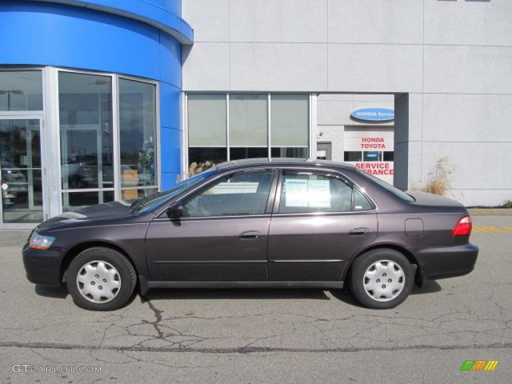 1999 Accord LX Sedan - Raisin Pearl / Gray photo #3