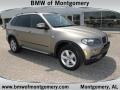 Platinum Bronze Metallic - X5 3.0si Photo No. 1