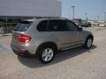 Platinum Bronze Metallic - X5 3.0si Photo No. 3